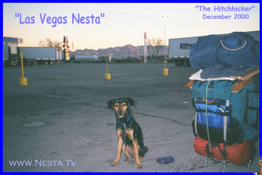 Nesta's Been More Places Than Most Americans!