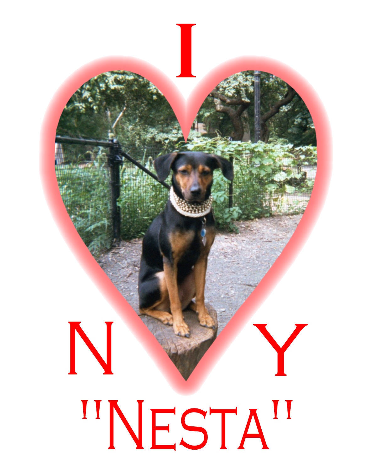 Nesta Hopes You Have A Great Year...We Plan Too!
